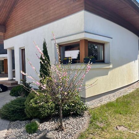 Apartament Przy Lesie Chojno-Blota Wielkie Luaran gambar