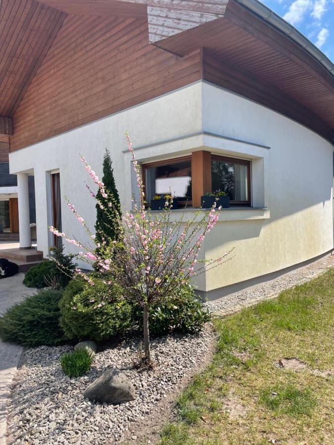 Apartament Przy Lesie Chojno-Blota Wielkie Luaran gambar