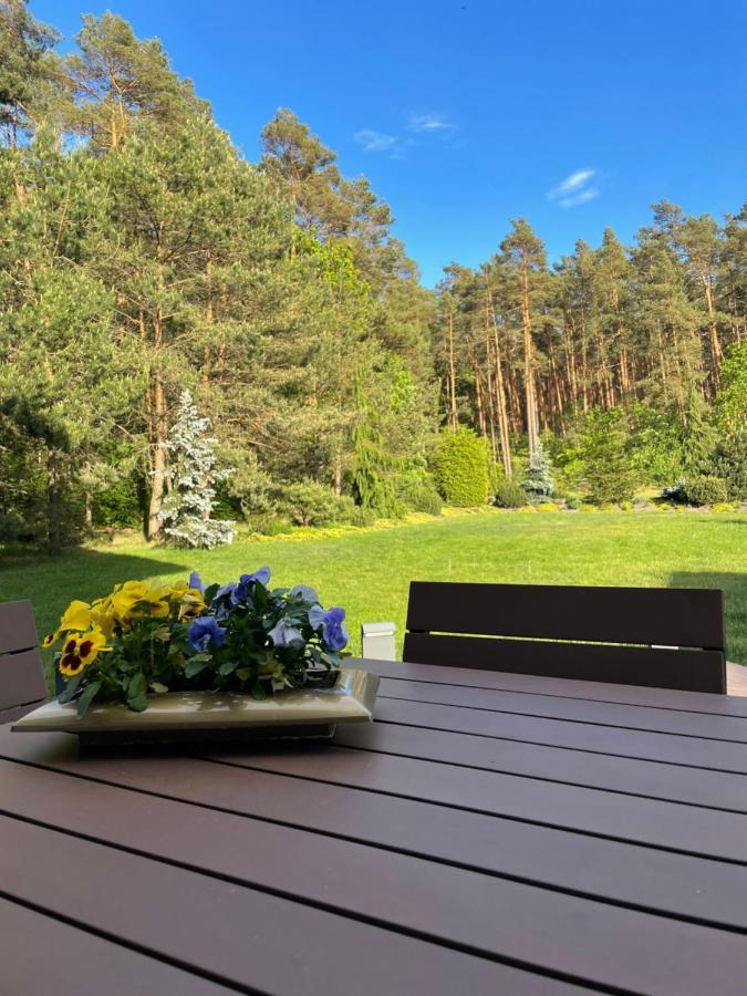 Apartament Przy Lesie Chojno-Blota Wielkie Luaran gambar